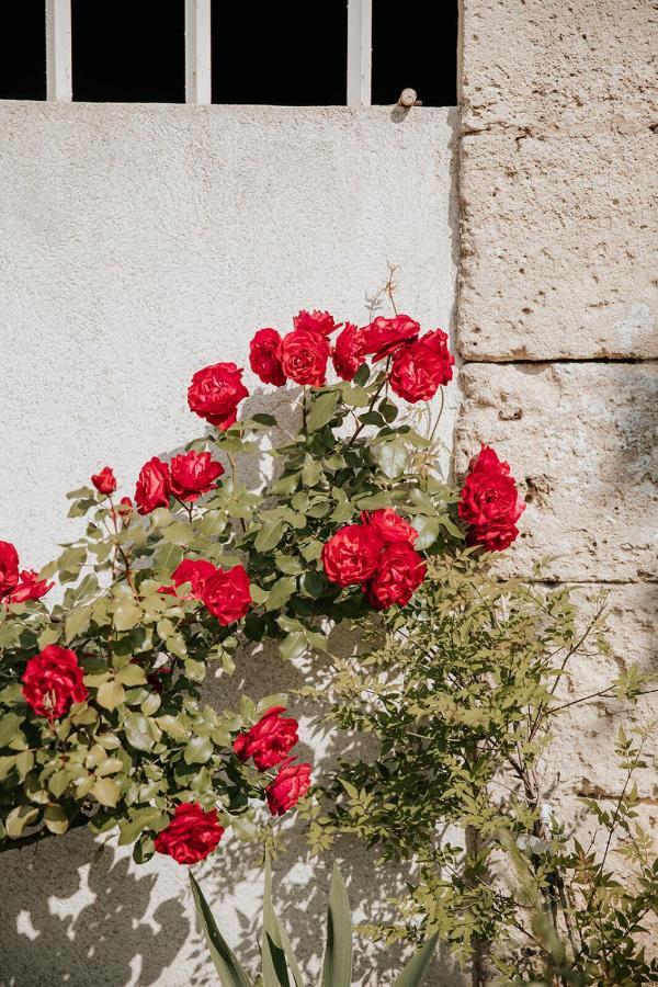Lussac  Chateau La Grande Clotte المظهر الخارجي الصورة